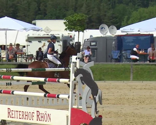 Reitturnier Detter 2016