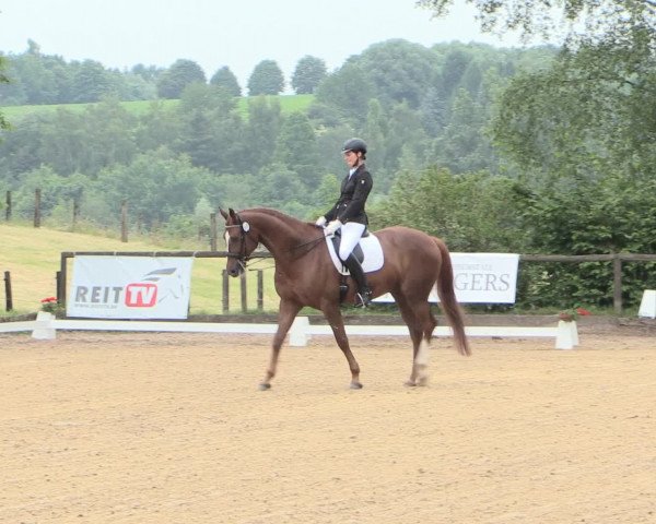 Reitturnier Erkrath - Uhlenhof 2016