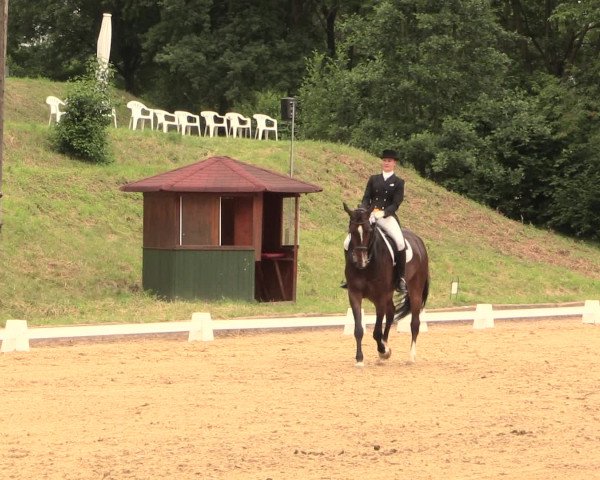 Reitturnier Erkrath - Uhlenhof 2016