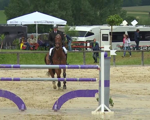 Reitturnier Detter 2016