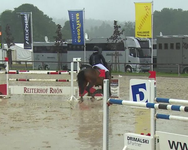 Reitturnier Detter 2016