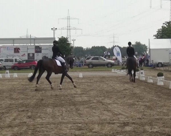 Heinsberger Dressur- und Springtage 2016
