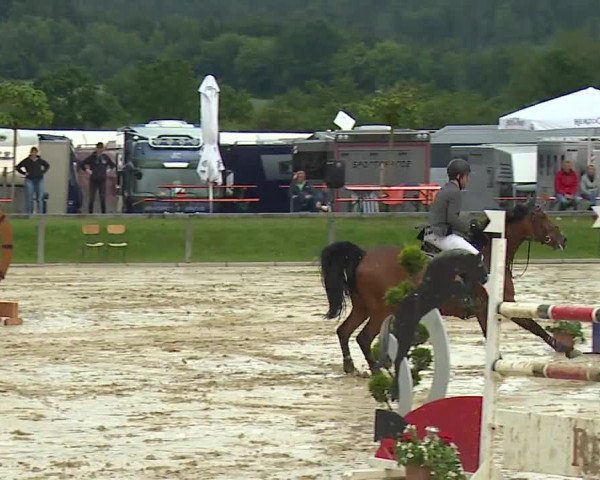 Reitturnier Detter 2016