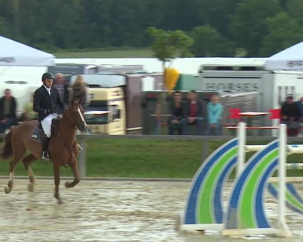 Reitturnier Detter 2016