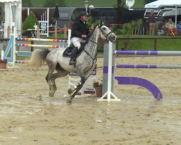 Reitturnier Detter 2016