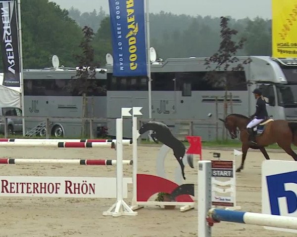 Reitturnier Detter 2016