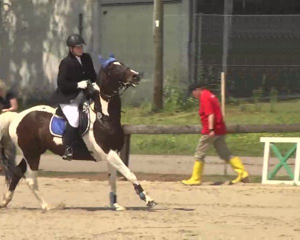 Reitturnier Kleinostheim 2016