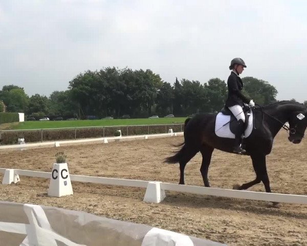 Heinsberger Dressur- und Springtage 2016