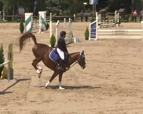Reitturnier Kleinostheim 2016