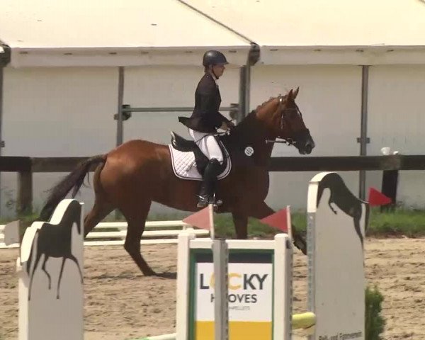 Reitturnier Kleinostheim 2016