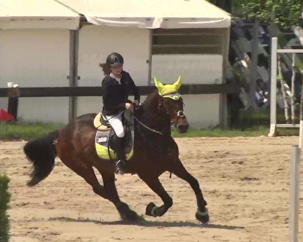 Rideturnering Kleinostheim 2016