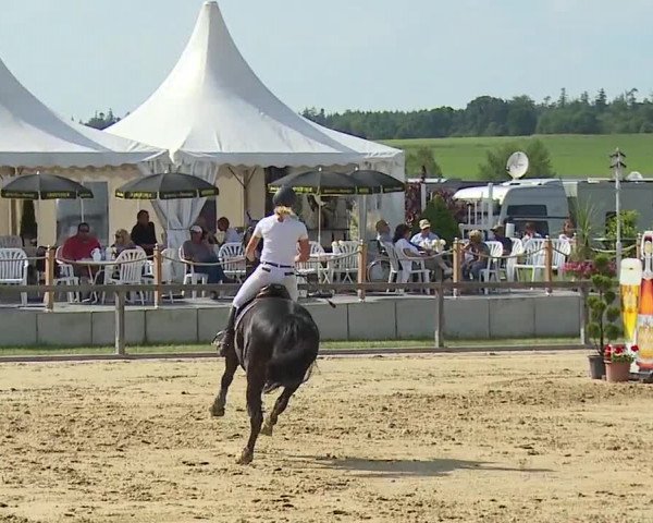Reitturnier Detter 2016