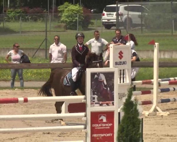 Reitturnier Kleinostheim 2016