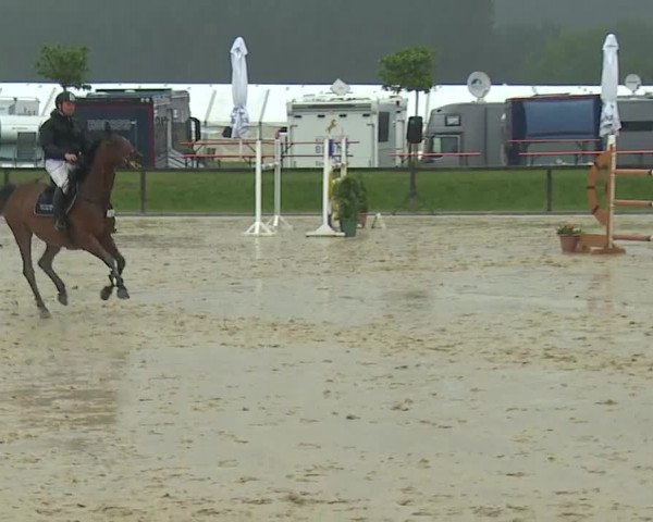 Reitturnier Detter 2016