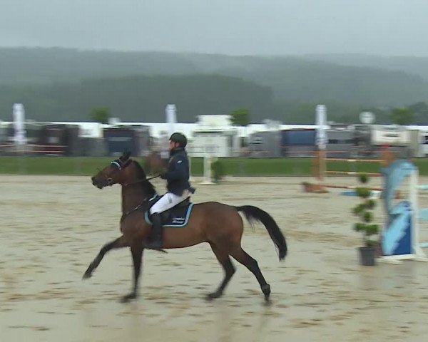 Reitturnier Detter 2016