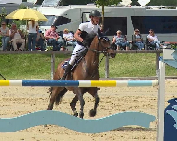 Reitturnier Detter 2016