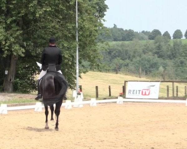 Reitturnier Erkrath - Uhlenhof 2016