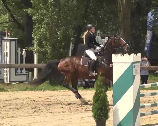 Reitturnier Kleinostheim 2016