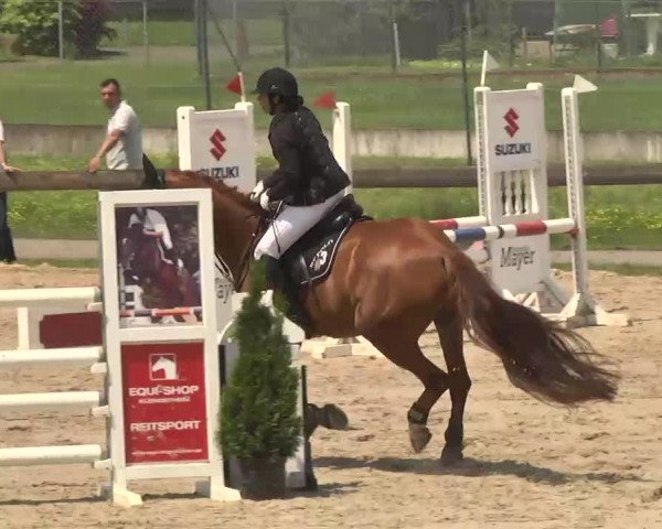 Reitturnier Kleinostheim 2016
