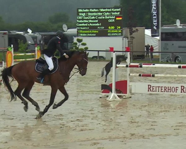 Reitturnier Detter 2016