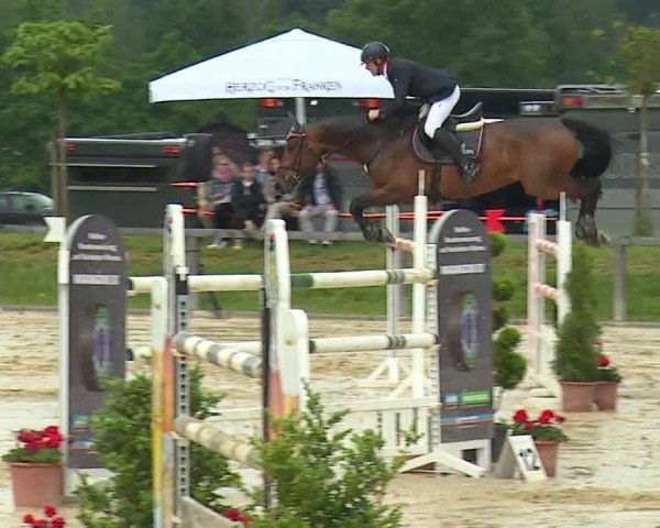 Reitturnier Detter 2016