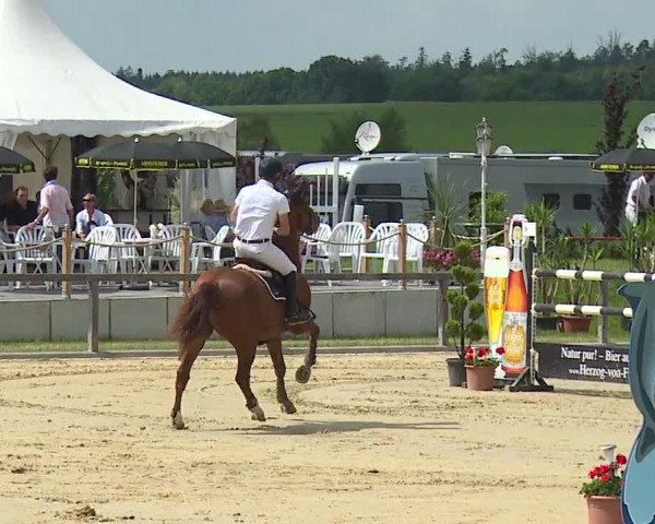 Reitturnier Detter 2016