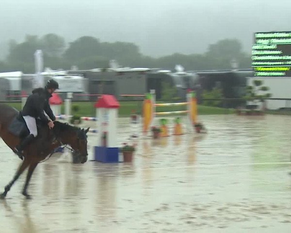 Reitturnier Detter 2016