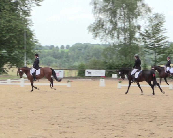 Reitturnier Erkrath - Uhlenhof 2016