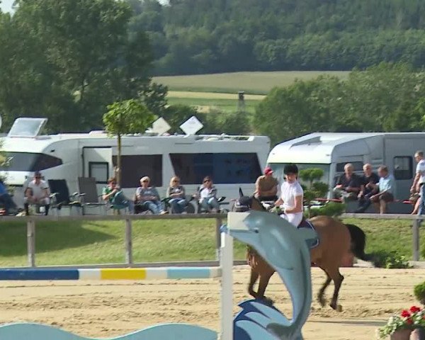 Reitturnier Detter 2016