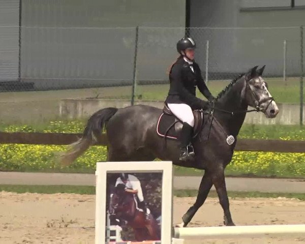 Reitturnier Kleinostheim 2016