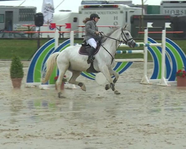 Reitturnier Detter 2016
