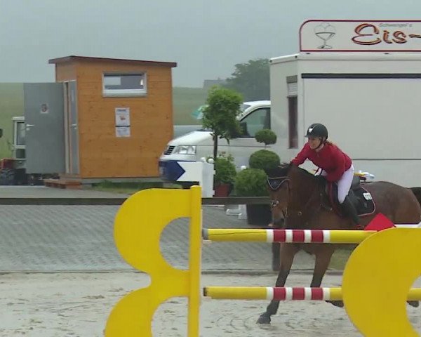 Reitturnier Detter 2016