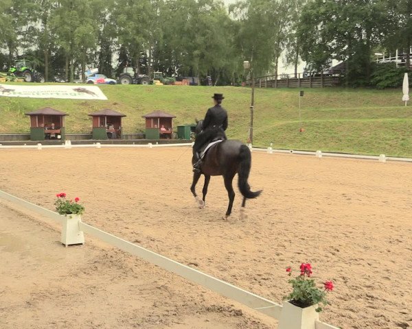 Reitturnier Erkrath - Uhlenhof 2016