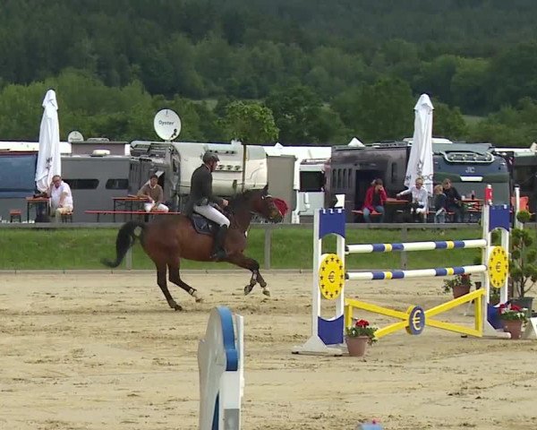 Reitturnier Detter 2016
