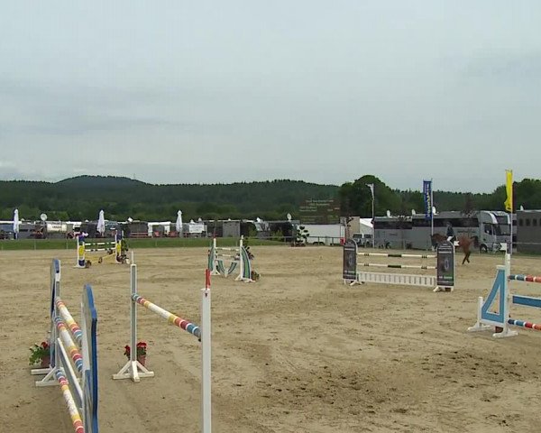 Reitturnier Detter 2016
