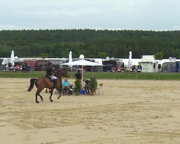Reitturnier Detter 2016