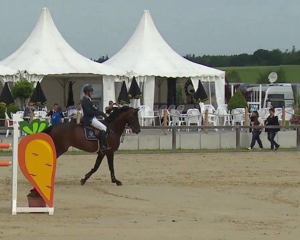 Reitturnier Detter 2016
