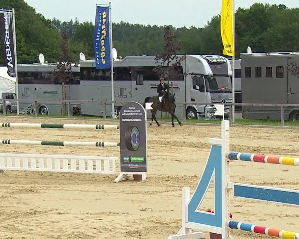 Reitturnier Detter 2016