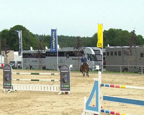 Reitturnier Detter 2016