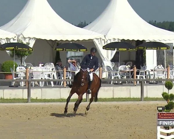 Reitturnier Detter 2016