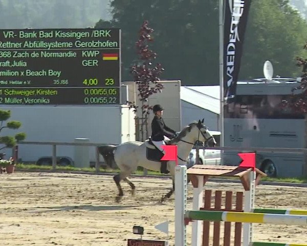 Reitturnier Detter 2016