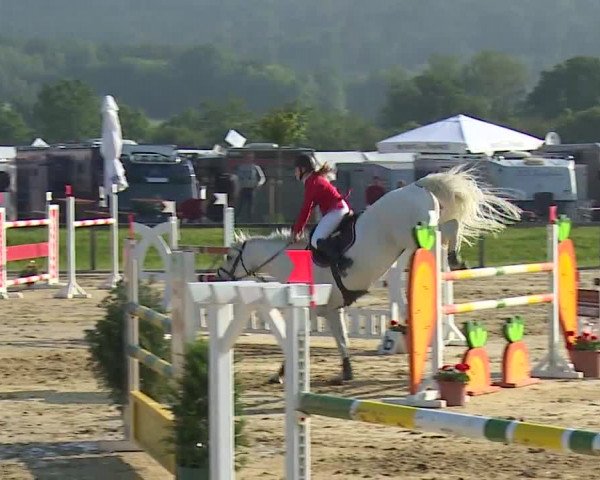 Reitturnier Detter 2016