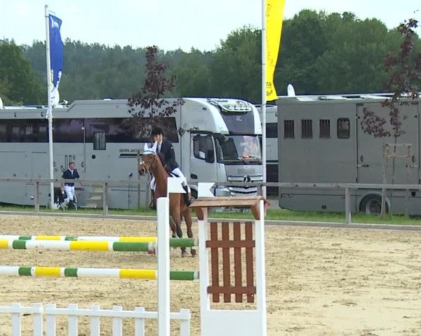 Reitturnier Detter 2016