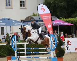 jumper Ernie von der Held (Belgian Warmblood, 2010, from Best Man Z)