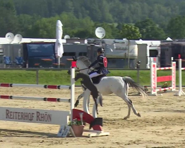 Reitturnier Detter 2016