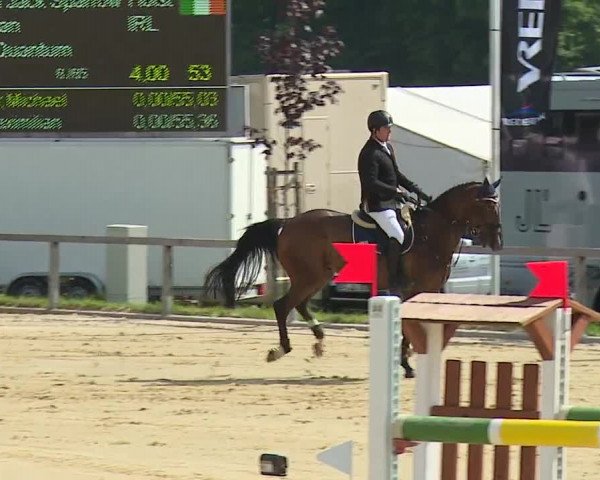 Reitturnier Detter 2016