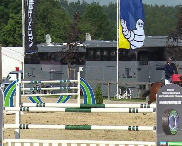 Reitturnier Detter 2016