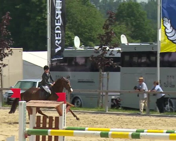 Reitturnier Detter 2016