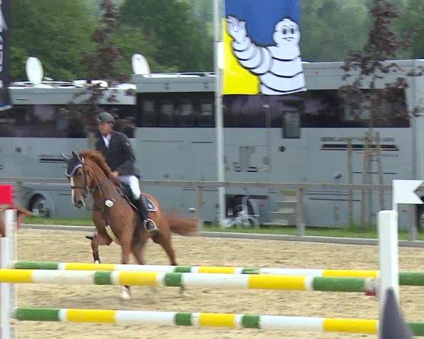 Reitturnier Detter 2016