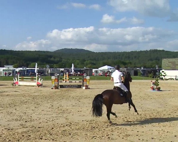 Reitturnier Detter 2016